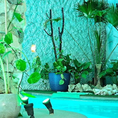 Mayan Majesty Boutique Hotel 바야돌리드 외부 사진