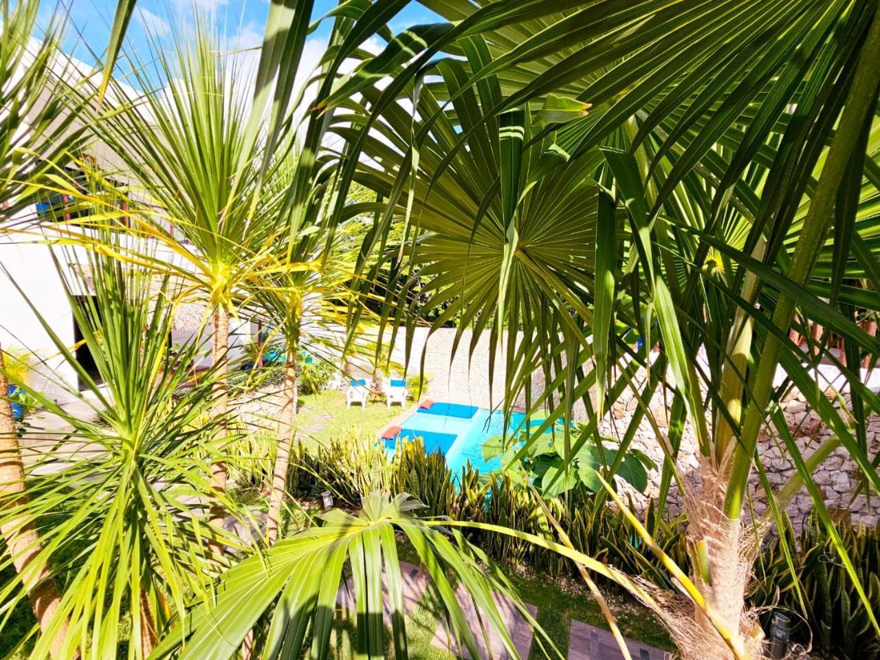 Mayan Majesty Boutique Hotel 바야돌리드 외부 사진