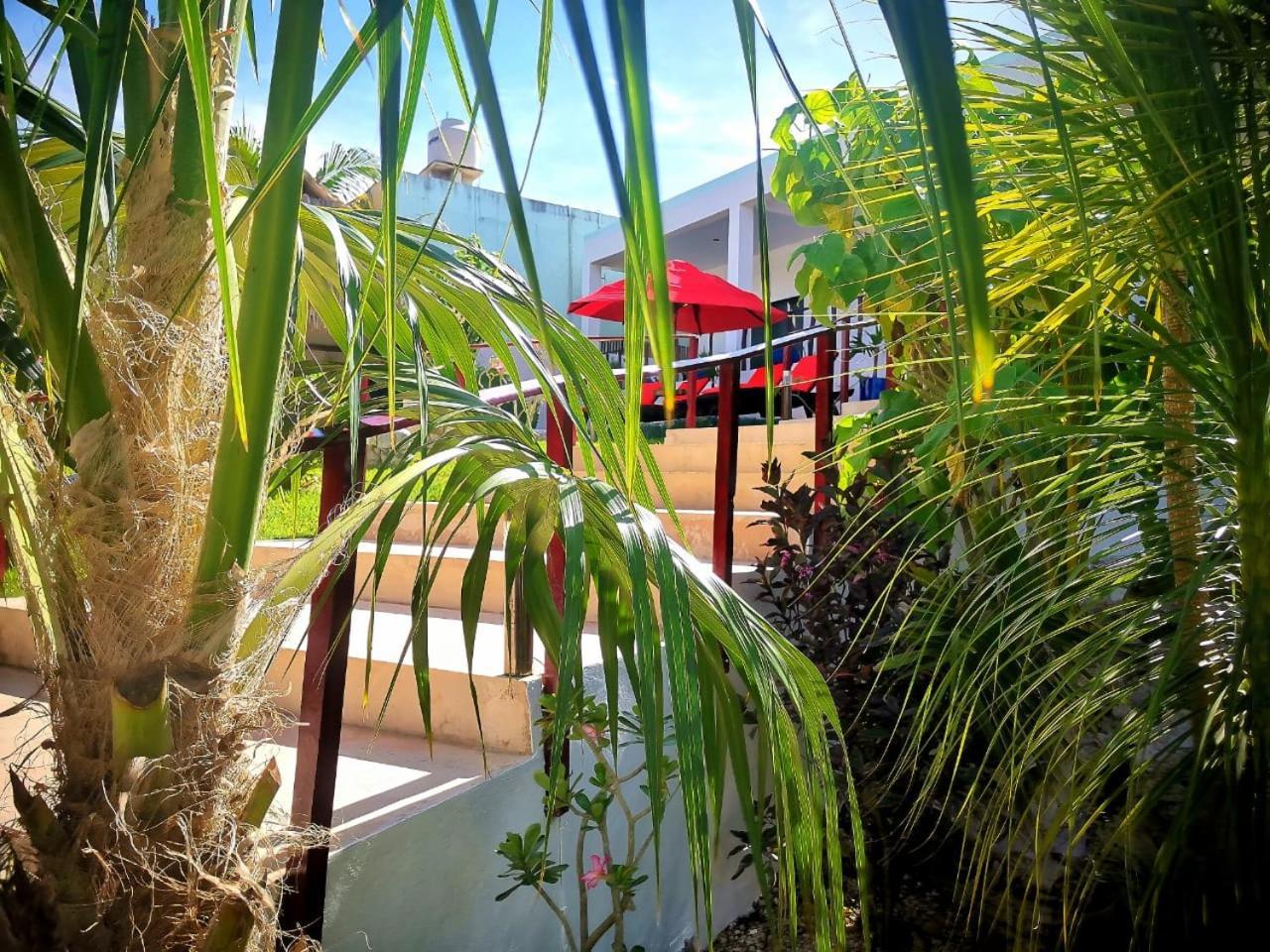 Mayan Majesty Boutique Hotel 바야돌리드 외부 사진