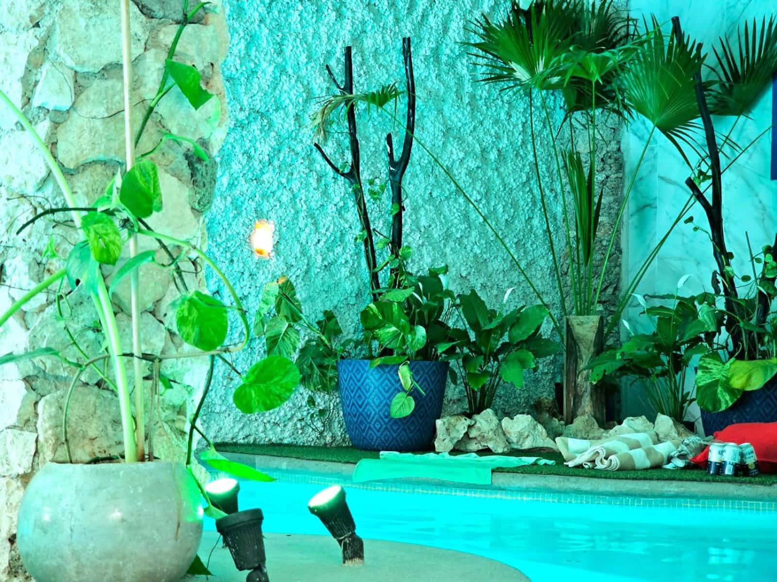 Mayan Majesty Boutique Hotel 바야돌리드 외부 사진